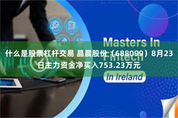 什么是股票杠杆交易 晶晨股份（688099）8月23日主力资金净买入753.23万元