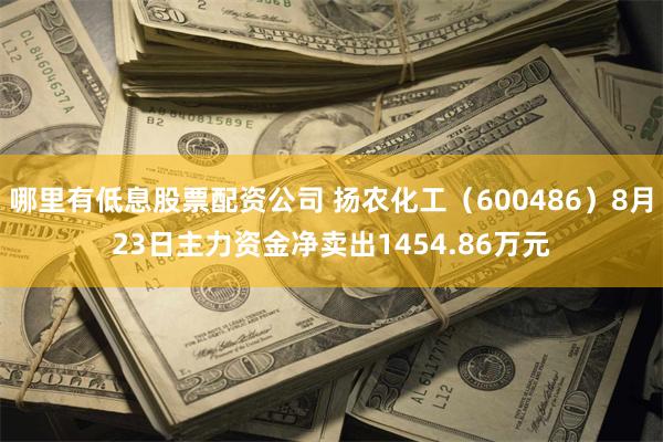 哪里有低息股票配资公司 扬农化工（600486）8月23日主力资金净卖出1454.86万元
