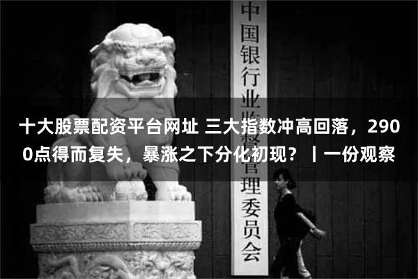 十大股票配资平台网址 三大指数冲高回落，2900点得而复失，暴涨之下分化初现？丨一份观察