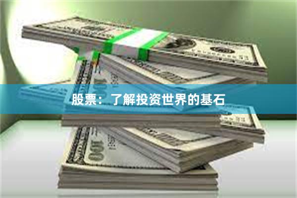 股票：了解投资世界的基石