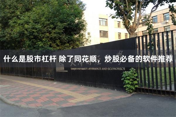 什么是股市杠杆 除了同花顺，炒股必备的软件推荐