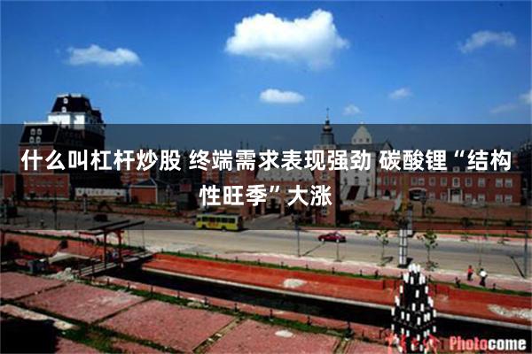 什么叫杠杆炒股 终端需求表现强劲 碳酸锂“结构性旺季”大涨