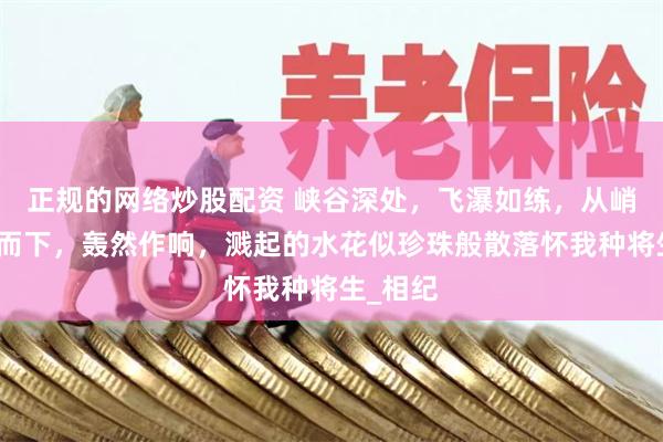 正规的网络炒股配资 峡谷深处，飞瀑如练，从峭壁直泻而下，轰然作响，溅起的水花似珍珠般散落怀我种将生_相纪