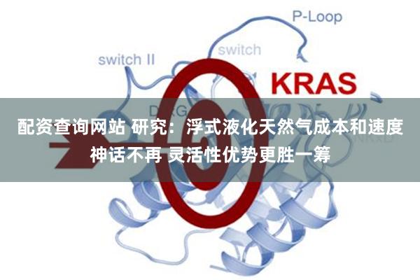 配资查询网站 研究：浮式液化天然气成本和速度神话不再 灵活性优势更胜一筹