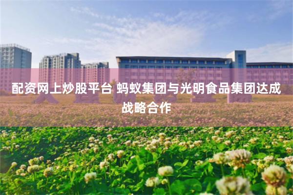 配资网上炒股平台 蚂蚁集团与光明食品集团达成战略合作