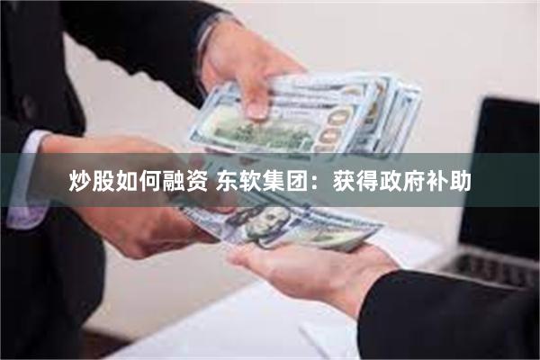 炒股如何融资 东软集团：获得政府补助