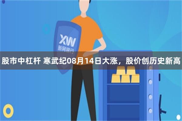 股市中杠杆 寒武纪08月14日大涨，股价创历史新高
