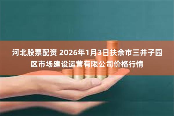 河北股票配资 2026年1月3日扶余市三井子园区市场建设运营有限公司价格行情